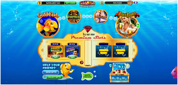 Gold Fish casino slots free play for fun online casino- App features